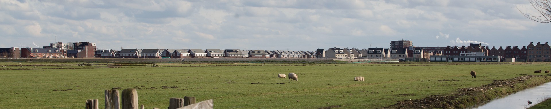 /bestanden/afbeeldingen/Header regio Alkmaar.jpg